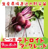 ڤƤޤġۡӡġǥȥȥåɡ9ݥå