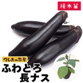 �ڤƤ��ޤ��ġۥʥ��ġ��դ�Ȥ�Ĺ�ʥ����Ǻ������ġ�9����ݥå�