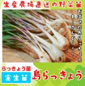 �ڤƤ��ޤ��ġۼ����ġ����ä��礦