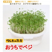 ڤƤޤĲۤǥ٥ץ饦ȿ̺ݥåȡ顼ȹΣץ饦ȤΥͤ1ޤĤƤޤ