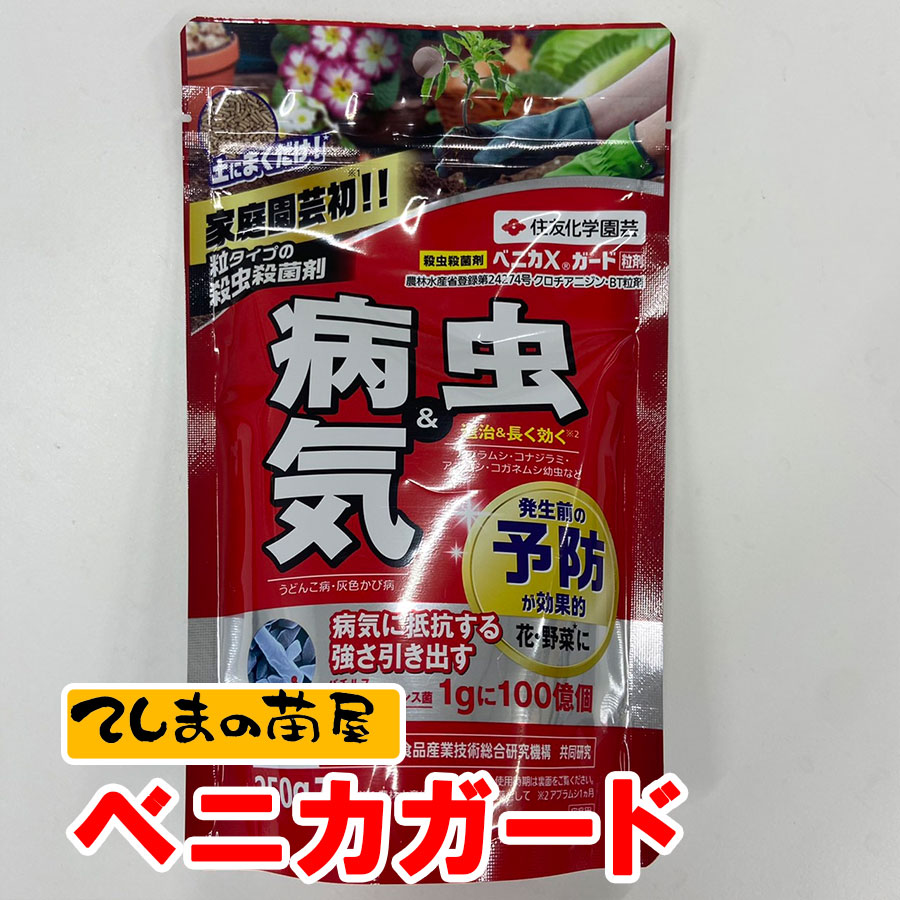 てしまの薬剤】ベニカXガード粒剤（250g） | すべての商品 | | て