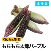 �ڤƤ��ޤ��ġۥȥ���������� ����������Ϻ�ѡ��ץ롡9����ݥåȡ������ġ�1�ݥå�2�Ŀ���