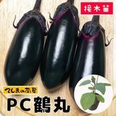野菜苗・花苗を販売【てしまの苗屋】