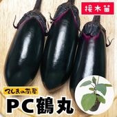 �ڤƤ��ޤ��ġ�Ĺ�ʥ��ġ�PC��ݡ��Ǻ������ġ� 9cm�ݥå�