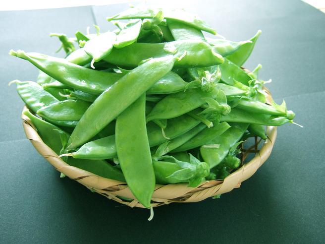 エンドウ苗 あずみ野30日絹さや 4株入りパック | すべての商品 | | て