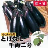 �ڤƤ��ޤ��ġ� �ʥ� �Ȥ��ʤ���ξ2�� �Ǻ������� 9cm�ݥå� ����� ���� �� ���� �ڿ͵���