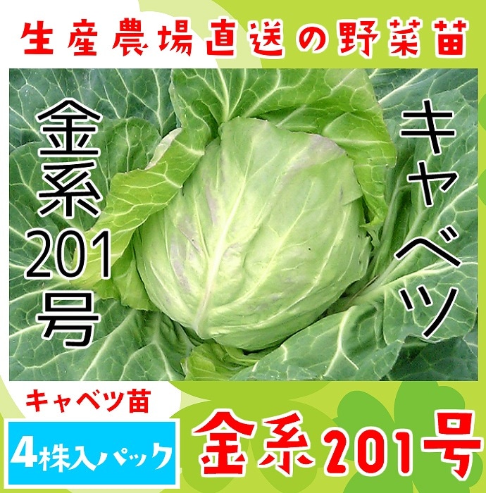 �ڤƤ��ޤ��ġ� ����٥��� ���201�� 4������ѥå� �պ��� �ڿ͵���
