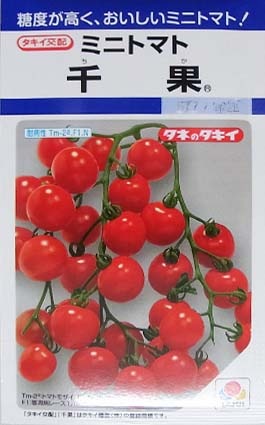 ミニトマトの種／千果 | てしまのタネ,野菜のタネ,果菜類のタネ,トマト