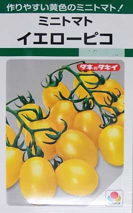 ミニトマトの種／イエローピコ | てしまのタネ,野菜のタネ,果菜類の