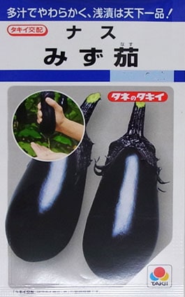 ナスの種/みず茄 | すべての商品 | | てしまの苗屋 本店