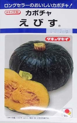 かぼちゃのちゃちゃ ダークホース - 株式会社渡辺採種場｜良いタネは明日への希望。松島