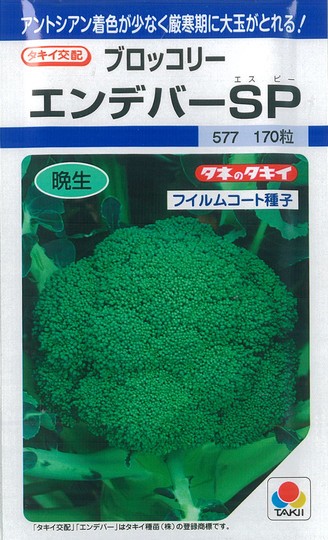 タキイ交配　ブロッコリー　エンデバーSP　ペレットL5000粒 エンデバーSP（タキイ種苗） - 株式会社丹種苗園