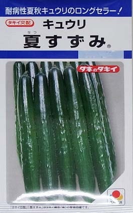 キュウリの種／夏すずみ | てしまのタネ,野菜のタネ,果菜類のタネ