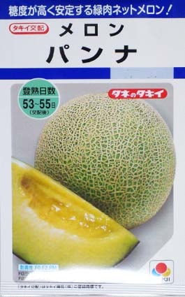 メロンの種 パンナ てしまのタネ 野菜のタネ 果菜類のタネ メロン てしまの苗屋 本店 メロンの種 パンナ てしまのタネ 野菜のタネ 果菜類のタネ メロン てしまの苗屋 本店