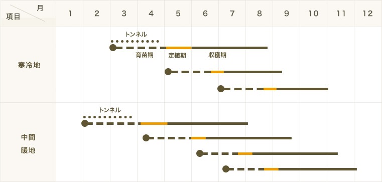 �ڤƤ��ޤ��ġۼ����ȥ����饷�ġ��ϥХͥ���åɡ������ġ�9cm�ݥåȡ�