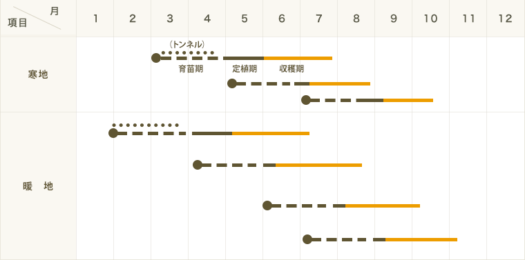 �ڤƤ��ޤ��ġ� ���ܥ����� ���ȥ��ƥ��å����㥤����� ������ 9cm�ݥå� ����� ���� �� ���� �ڿ͵���