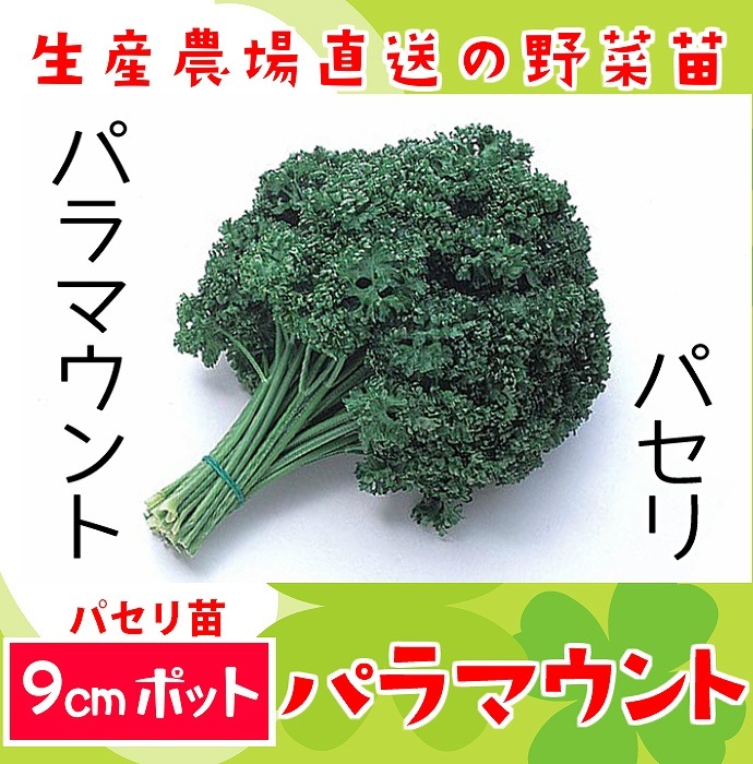 ڤƤޤġ ѥ ѥޥ  9cmݥå     ڿ͵ պ ڿ͵