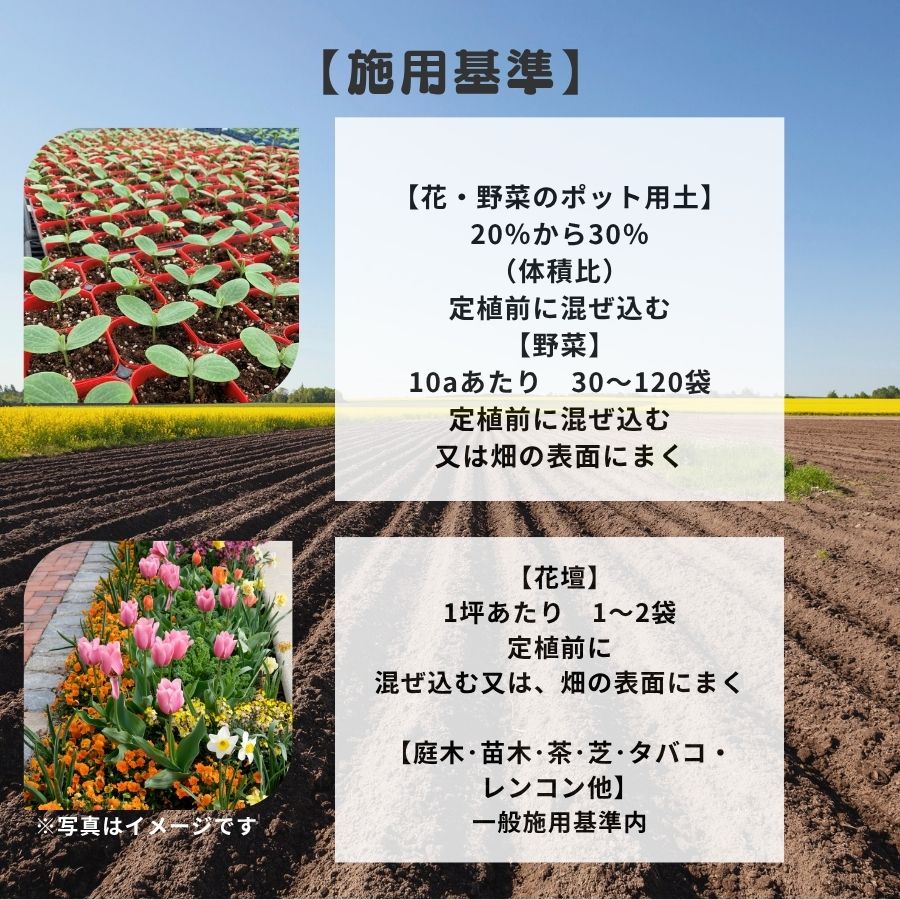 졡ե30L޵ͤˡ̵ƱԲ