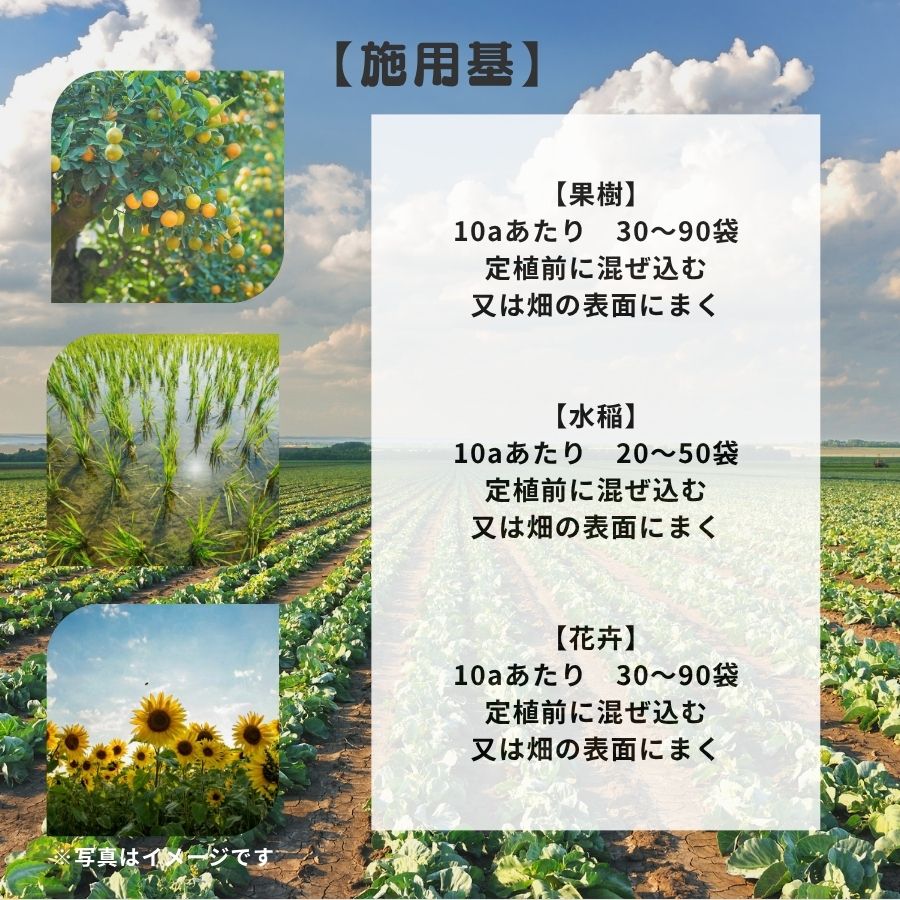 졡ե30L޵ͤˡ̵ƱԲ