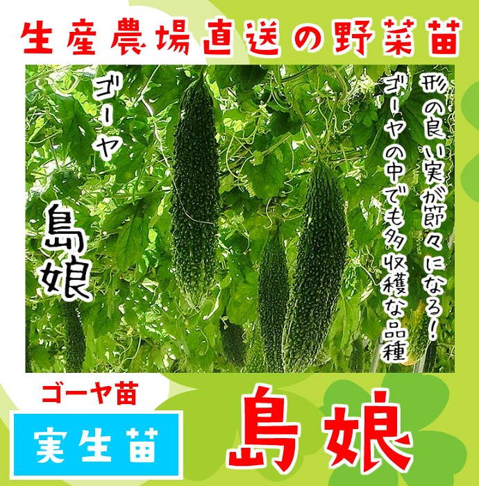 �ڤƤ��ޤ��ġ� �������� ��̼ ������ 9cm�ݥå� �ڿ͵���