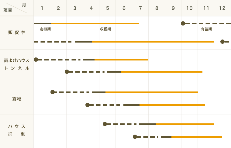 �ڤƤ��ޤ��ġ�  �ԡ��ޥ� ���ߤɤ� �Ǻ������� 9cm�ݥå� ����� ���� �� ���� �ڿ͵���