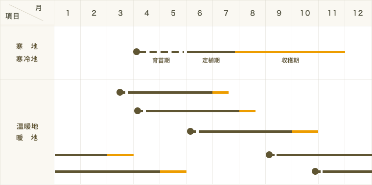 ڤƤޤġ ѥ ѥޥ  9cmݥå     ڿ͵ պ ڿ͵