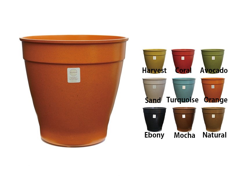 Ecoforms�������ե����ॺ���Υ�8