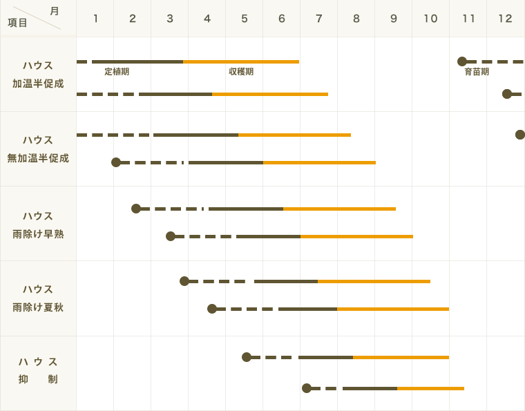 �ڤƤ��ޤ��ġ� �ߥ˥ȥޥ��� ��Ϻ�ȥޥ� �Ǻ������� 9cm�ݥå� ����� ���� �� ���� �ڿ͵���