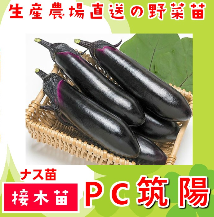 �ڤƤ��ޤ��ġ�Ĺ�ʥ��ġ�PC���ۡ������ġ�9cm�ݥå�