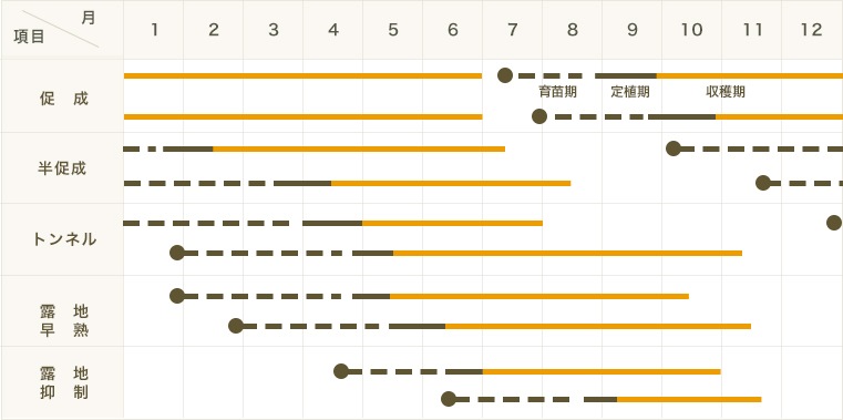 �ڤƤ��ޤ��ġ�Ĺ�ʥ��ġ�PC���ۡ������ġ�9cm�ݥå�