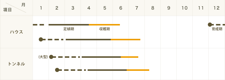 ڤƤޤġ  ̥  Ǻ 9cmݥå      ڿ͵