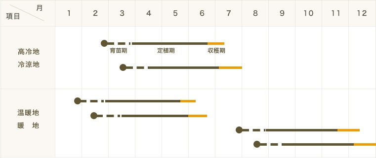 �ڤƤ��ޤ��ġۥ���ե��ġ������ʥ��ȥۥ磻�ȡ�4������ѥå����պ���