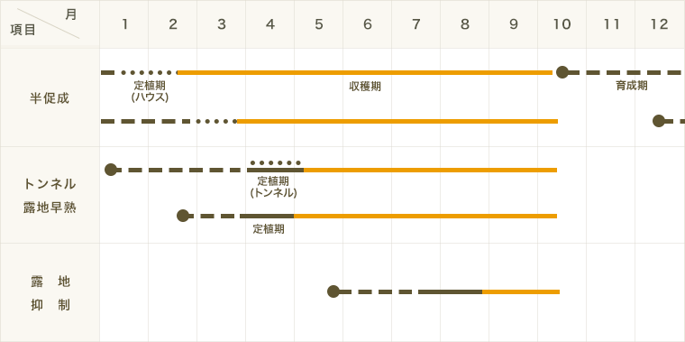 �ڤƤ��ޤ��ġ� ��Ĺ�ʥ� ������Ĺ �Ǻ������� 9cm�ݥå� ����� ���� �� ���� �ڿ͵���