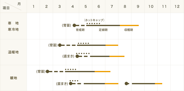 �ڤƤ��ޤ��ġ� ���ܥ����� ��˷ ������ 9cm�ݥå� �ڿ͵���