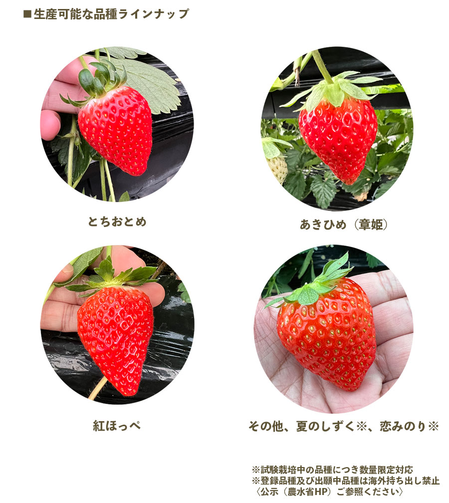 ڽ(34Ǽʡ ꥯ꡼ƳѥġȤۤäڡߤΤꡡƤΤҤᡡȤȤᡡ롦ݥåġ