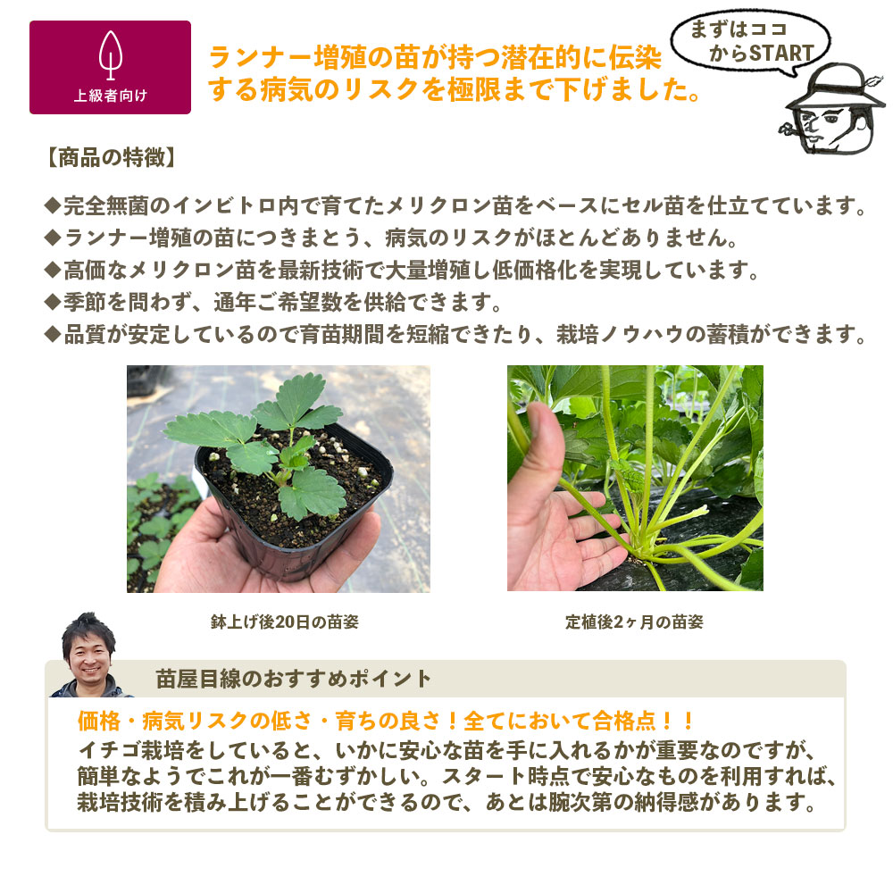 ڽ(34Ǽʡ ꥯ꡼ƳѥġȤۤäڡߤΤꡡƤΤҤᡡȤȤᡡ롦ݥåġ