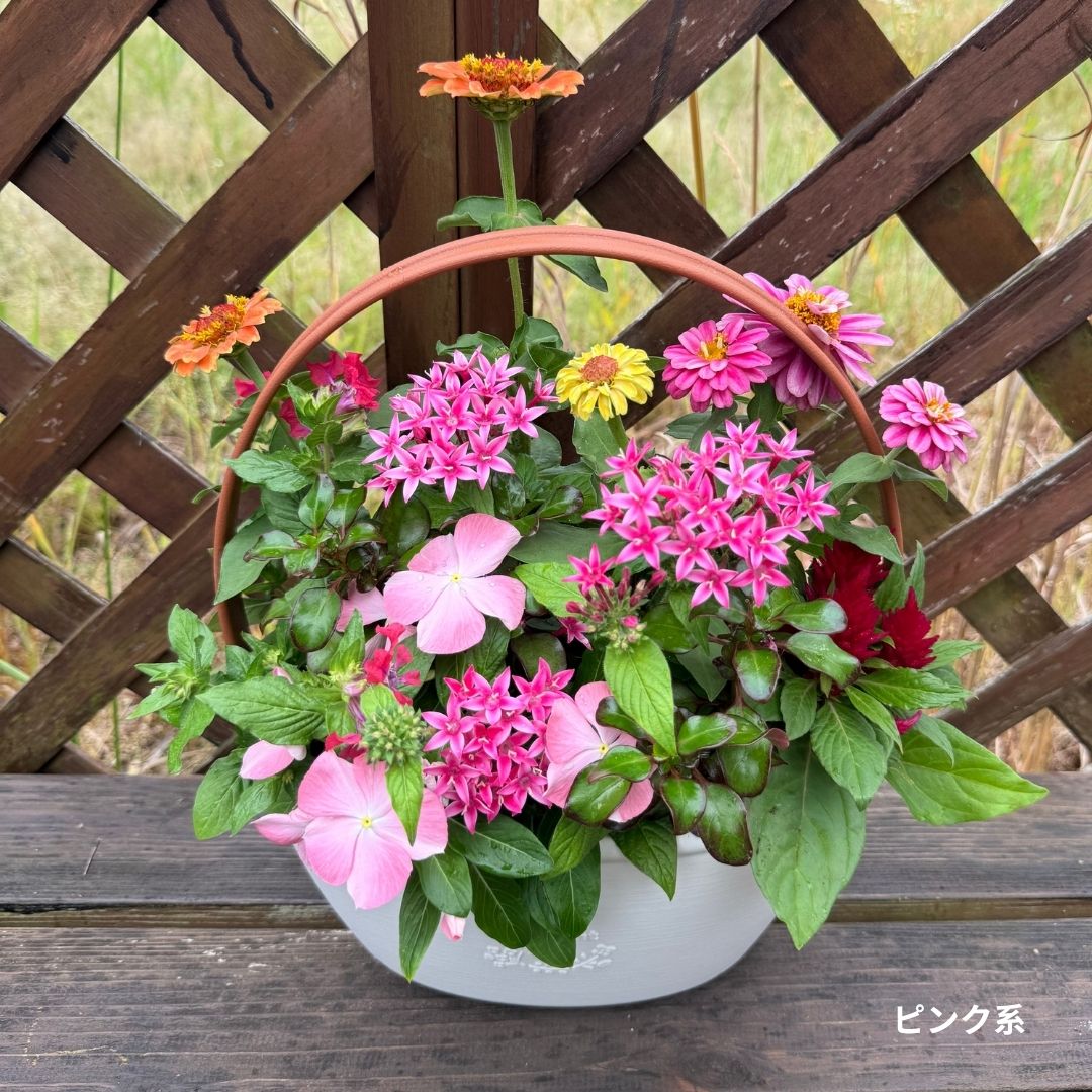 �ڤƤ��ޤβ��ġ۵���δ󤻿���������̵�����̳�ƻ�������������600��