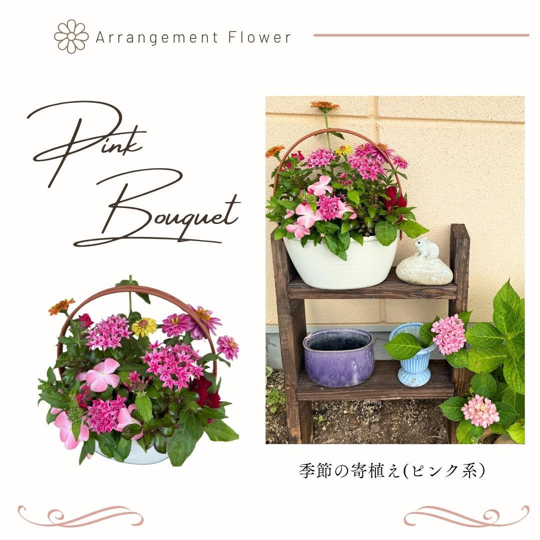 �ڤƤ��ޤβ��ġ۵���δ󤻿���������̵�����̳�ƻ�������������600��