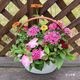 �ڤƤ��ޤβ��ġ۵���δ󤻿���������̵�����̳�ƻ�������������600��