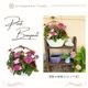 �ڤƤ��ޤβ��ġ۵���δ󤻿���������̵�����̳�ƻ�������������600��