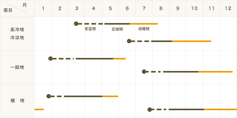 ڤƤޤġ ֥å꡼   9cmݥå     ڿ͵ պ ڿ͵