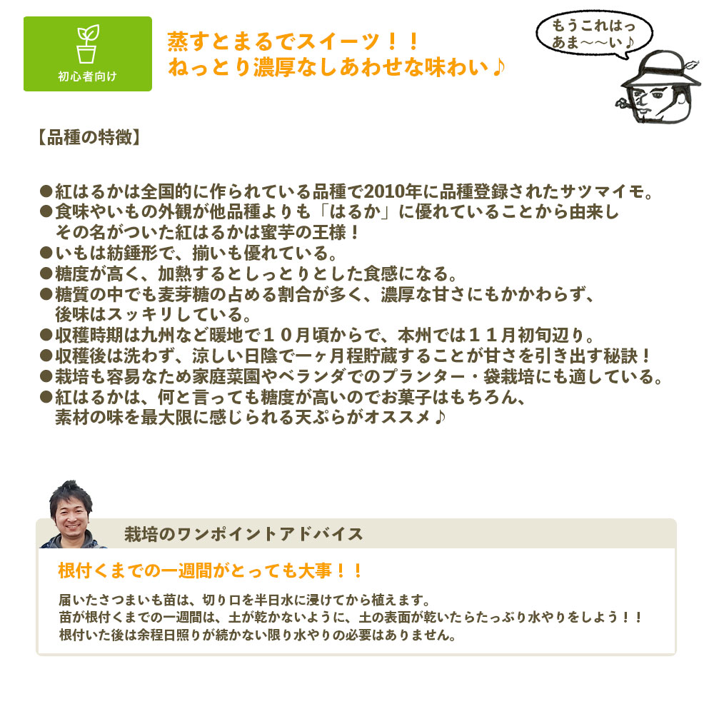 �ڤƤ��ޤ��ġ� ���Ĥޤ����ġʥ���ť�� ���ĥޥ��� �ȤϤ뤫 1«10�����ꡡ�ʼ���Ͽ�ֹ桧��19255�桡��Ͽ�ʼ�̾���٤ˤϤ뤫���������жػ�