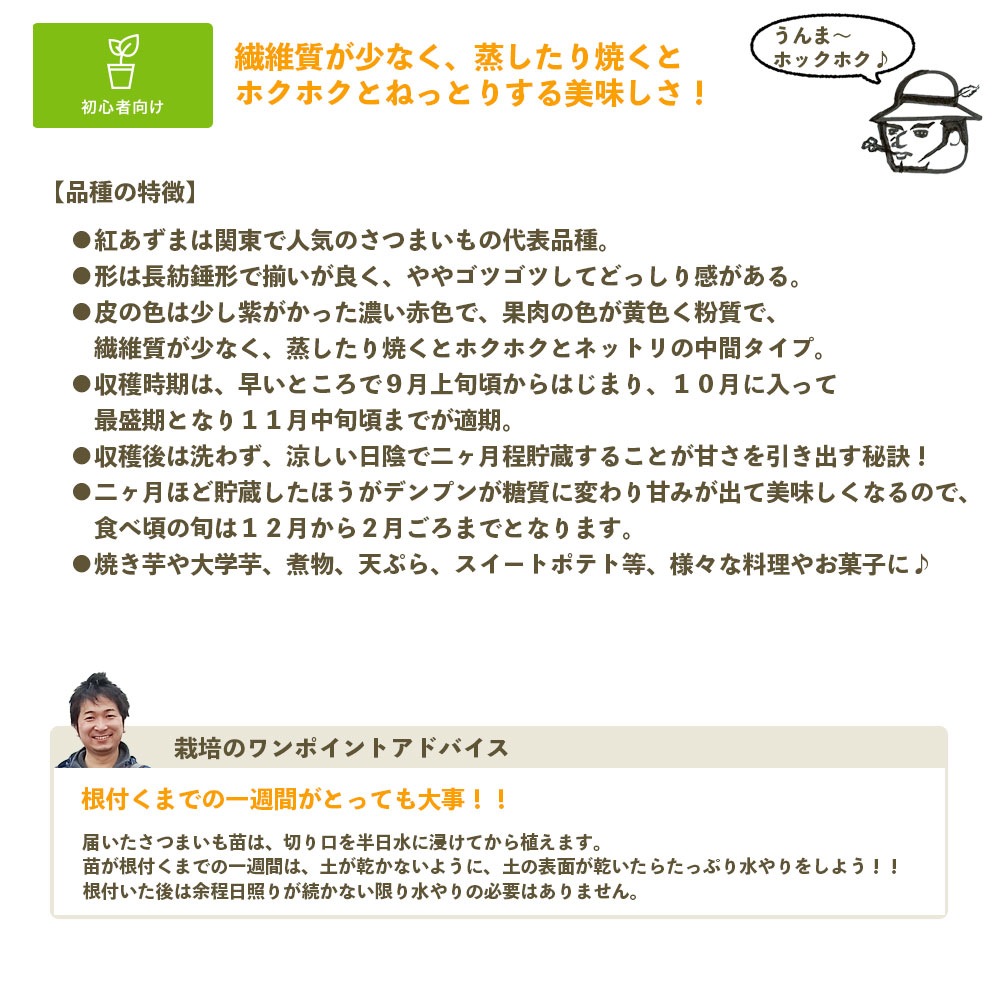 �ڤƤ��ޤ��ġ� ���Ĥޤ����ġʥ���ť�� ���ĥޥ��� �Ȥ����� 1«10������