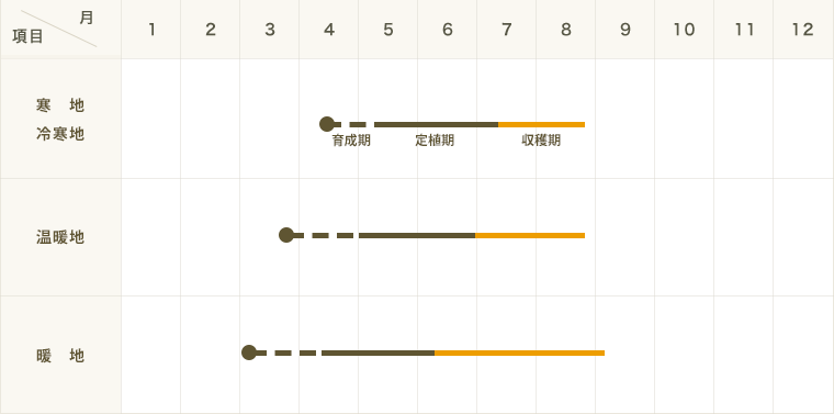 ڤƤޤġ  ֹ饹 ҥ Ǻ 9cmݥå      ڿ͵