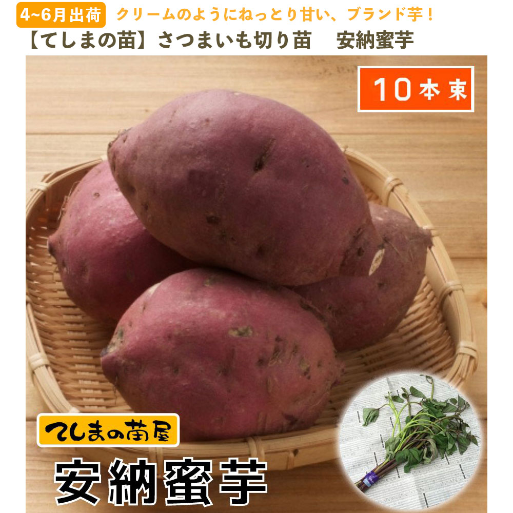 �ڤƤ��ޤ��ġ� ���Ĥޤ����ġʥ���ť�� ���ĥޥ��� ��Ǽ̪�� 1«10������