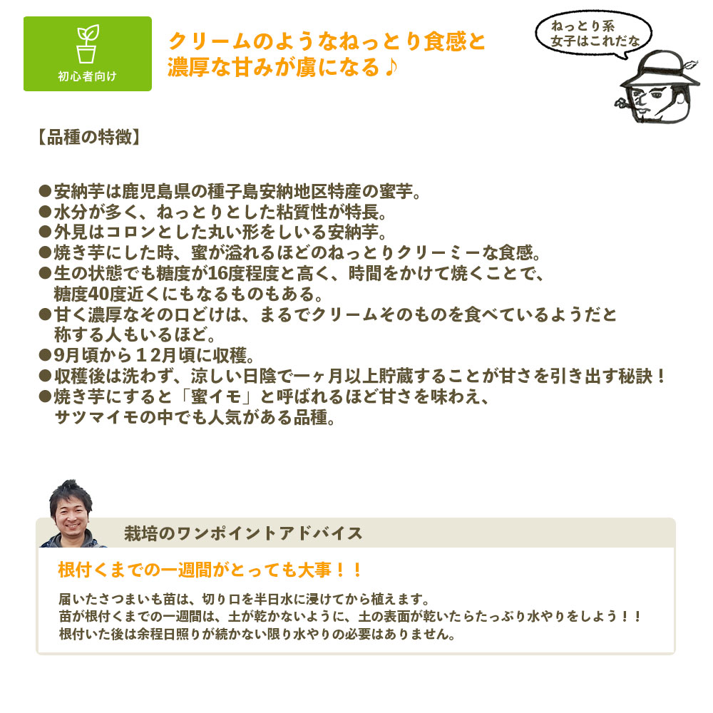 �ڤƤ��ޤ��ġ� ���Ĥޤ����ġʥ���ť�� ���ĥޥ��� ��Ǽ̪�� 1«10������