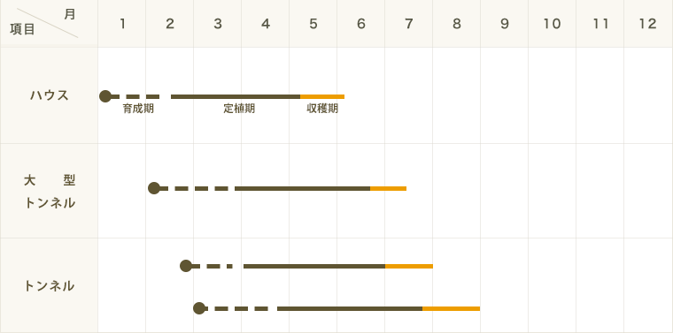 ڤƤޤġ  3ߥ  Ǻ 9cmݥå ڿ͵