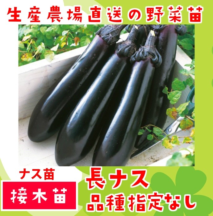 ��ͽ��ۡ��ʼ����ʤ���Ĺ�ʥ� �Ǻ������� 9cm�ݥå� ����� ���� �� ���� �ڿ͵���