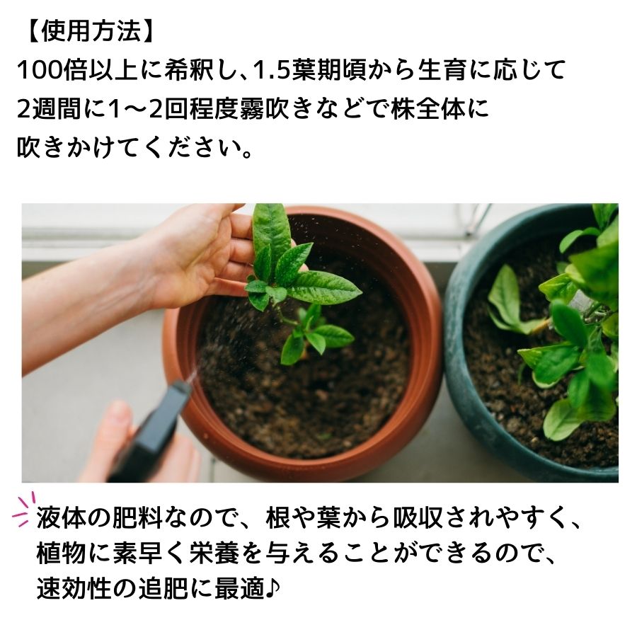 ¿��ͭ������ʎ�����6-�؎ݎ���8-����4��1.2kg(1L�ˡ�����ѡ�����