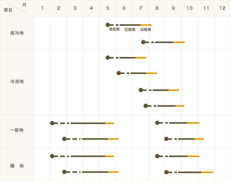 ڤƤޤġ ̥쥿  ֥å 4ѥå